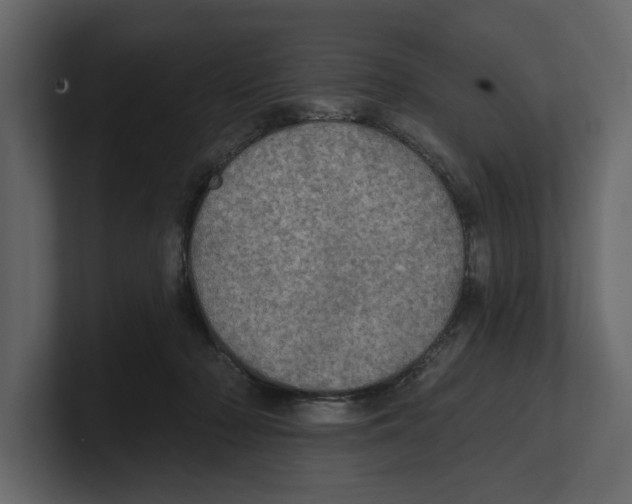 X0000100470318200807111046