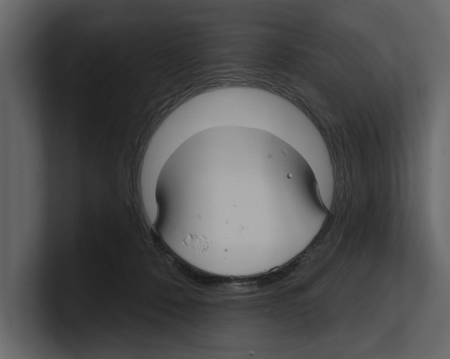 X0000100470320200807111046