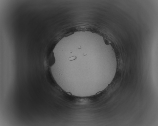 X0000100470324200807111046