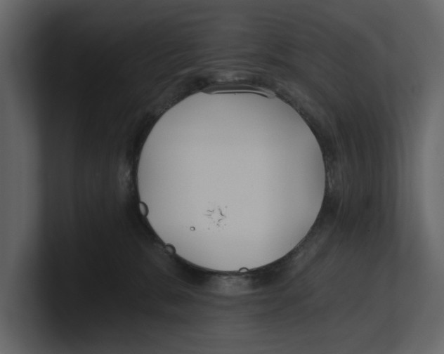 X0000100470327200807111046