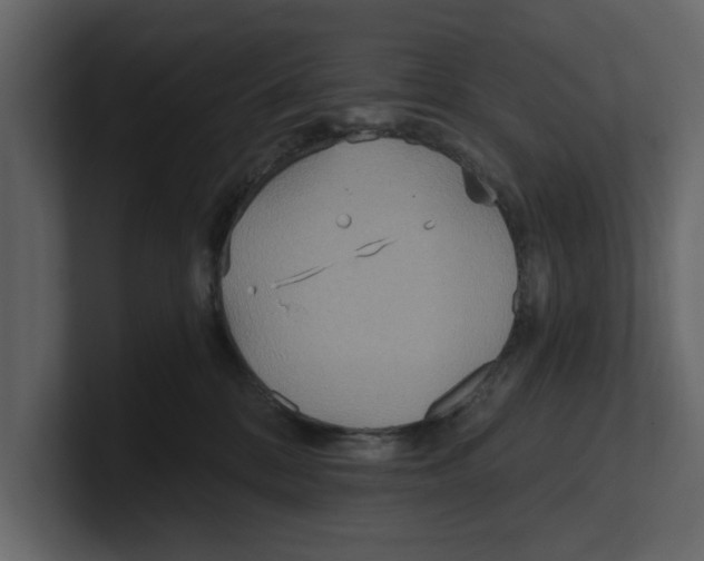 X0000100470328200807111046