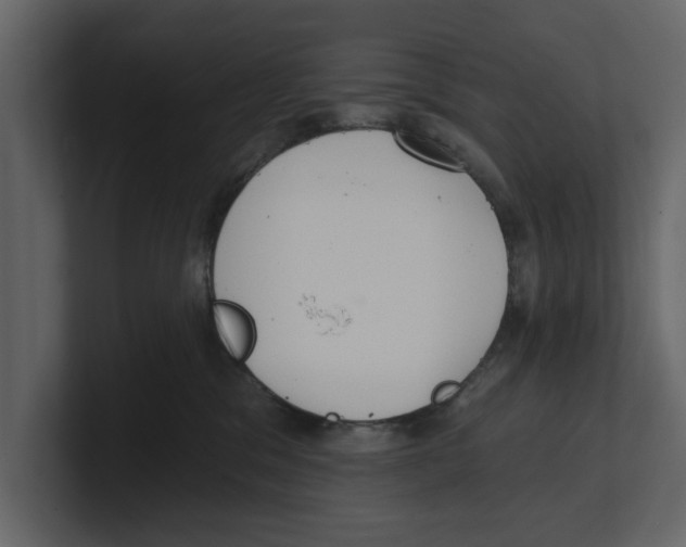 X0000100470329200807111046