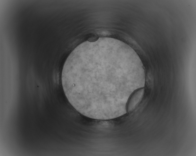 X0000100470330200807111046