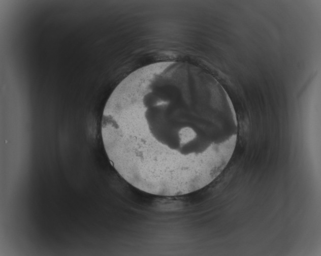 X0000100470331200807111046