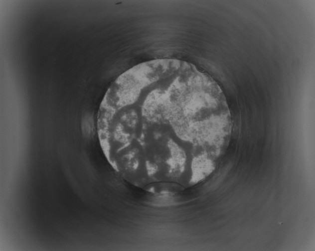 X0000100470335200807111046