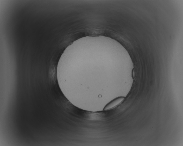 X0000100470336200807111046