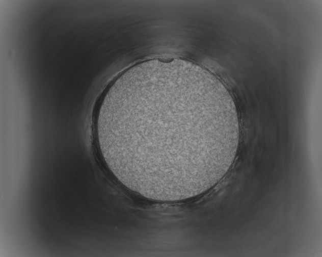 X0000100470338200807111045