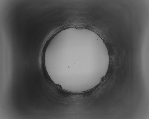 X0000100470340200807111045