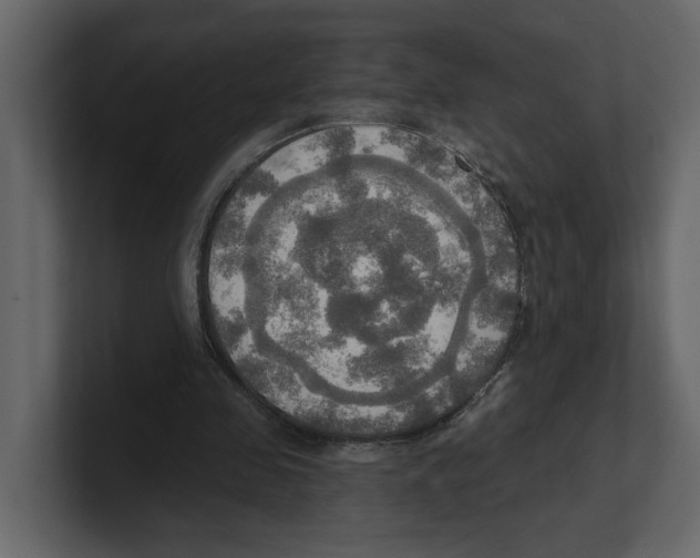 X0000100470341200807111045