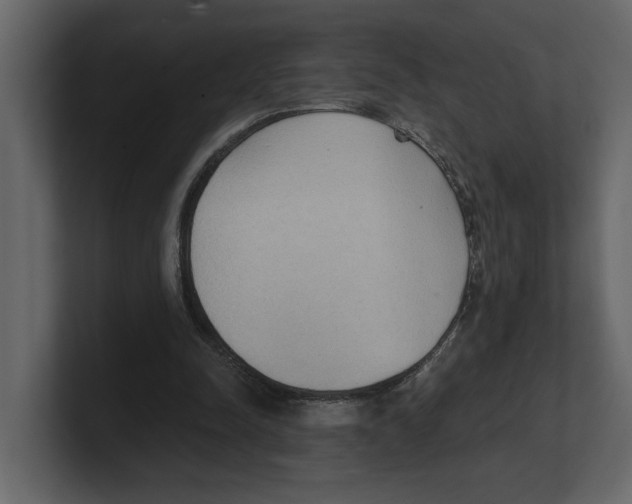 X0000100470342200807111045