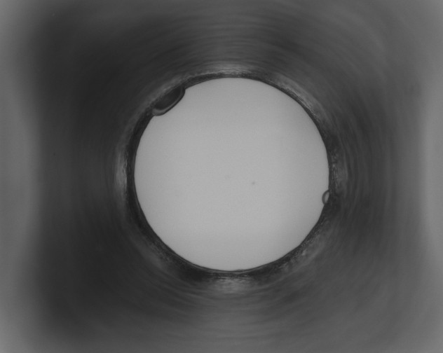 X0000100470350200807111045