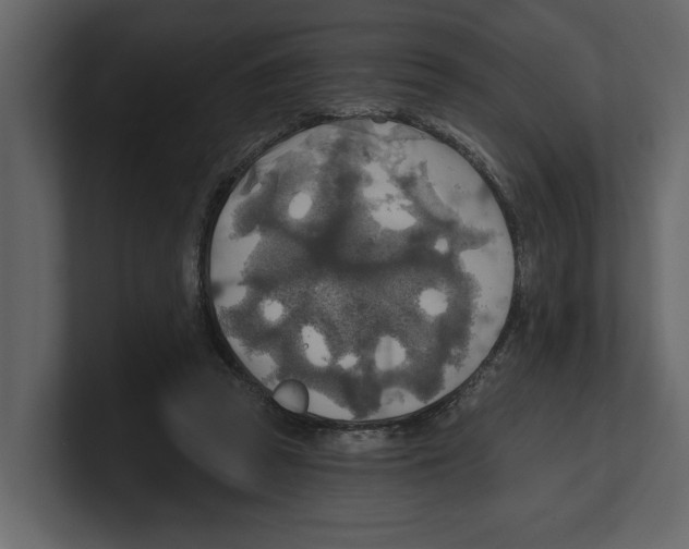 X0000100470353200807111045