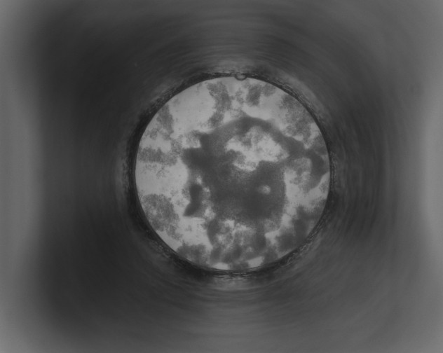 X0000100470354200807111045