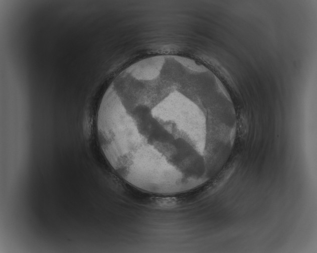 X0000100470355200807111045