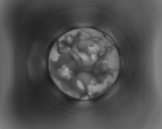 X0000100470357200807111045