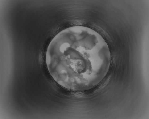 X0000100470359200807111045