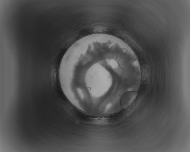 X0000100470363200807111046