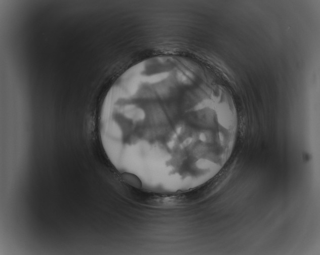 X0000100470365200807111046