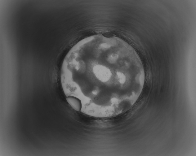 X0000100470367200807111046