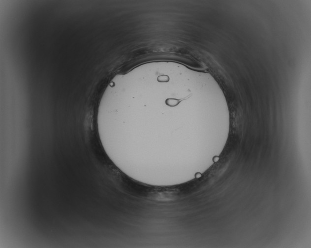 X0000100470368200807111046