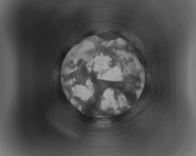 X0000100470369200807111046