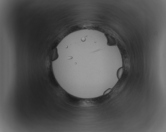 X0000100470372200807111046