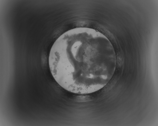 X0000100470375200807111046