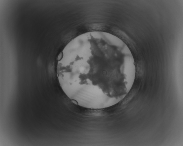 X0000100470377200807111046