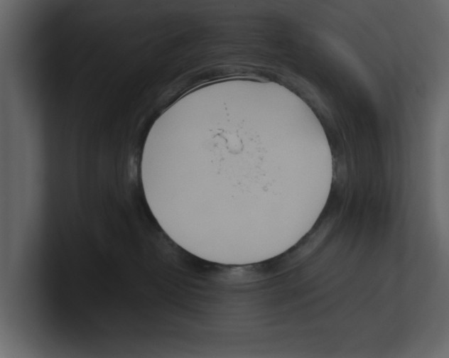 X0000100470382200807111046