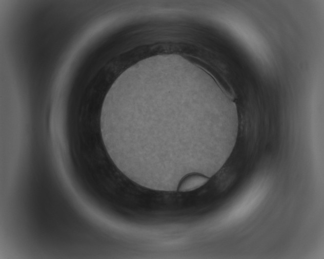 X0000100470383200807111046