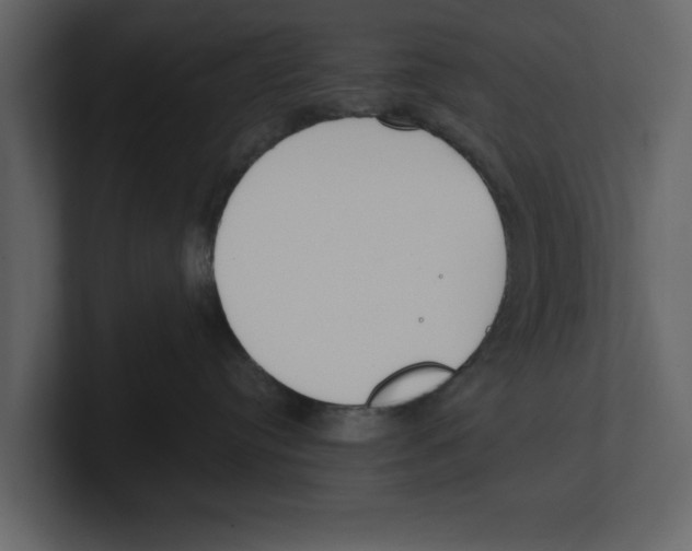 X0000100470384200807111046