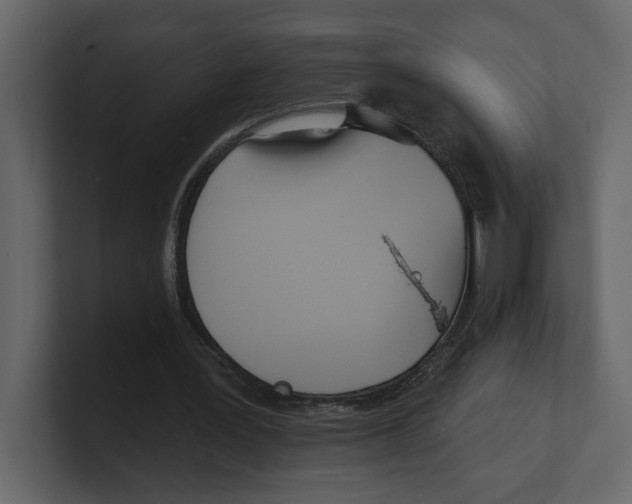 X0000100470387200807111045