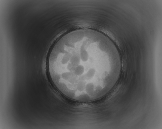 X0000100470390200807111045