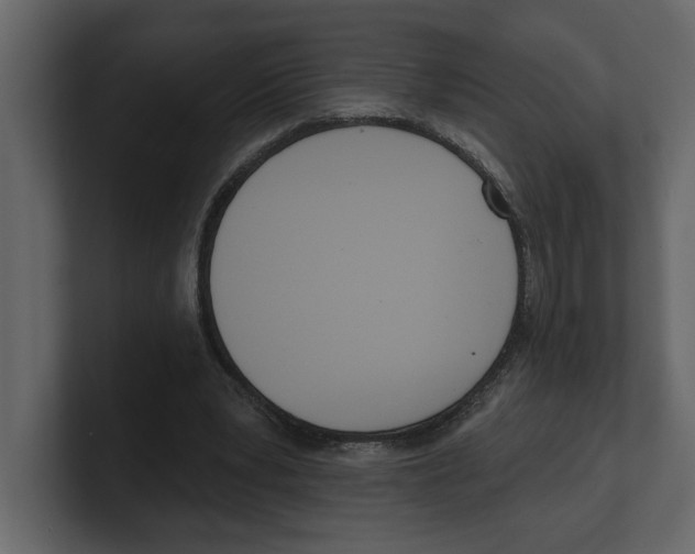 X0000100470391200807111045