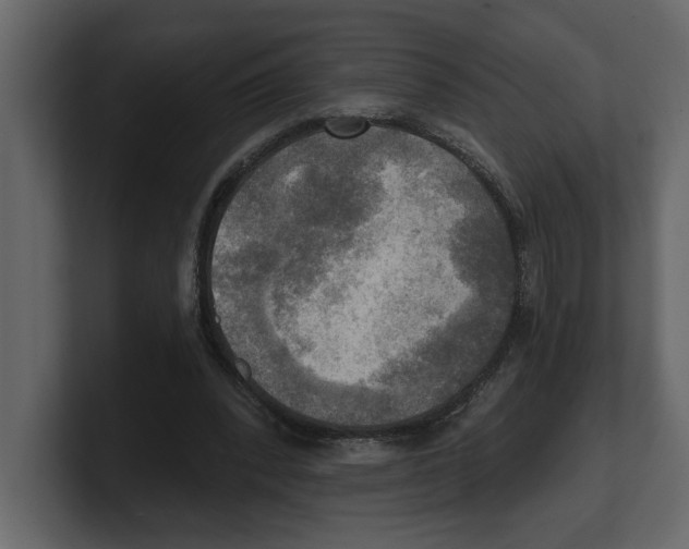 X0000100470392200807111045