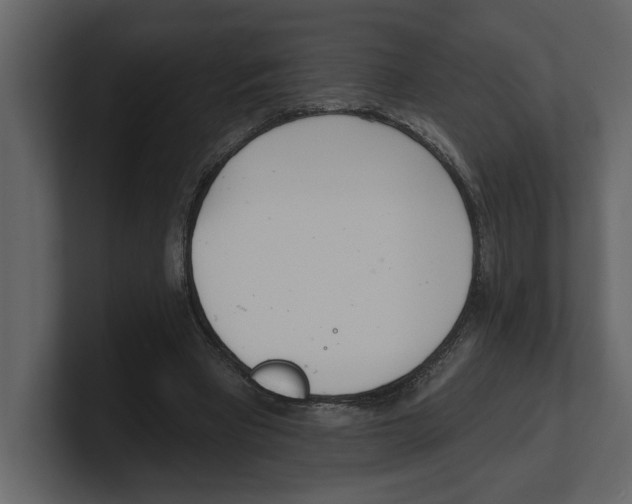 X0000100470393200807111045