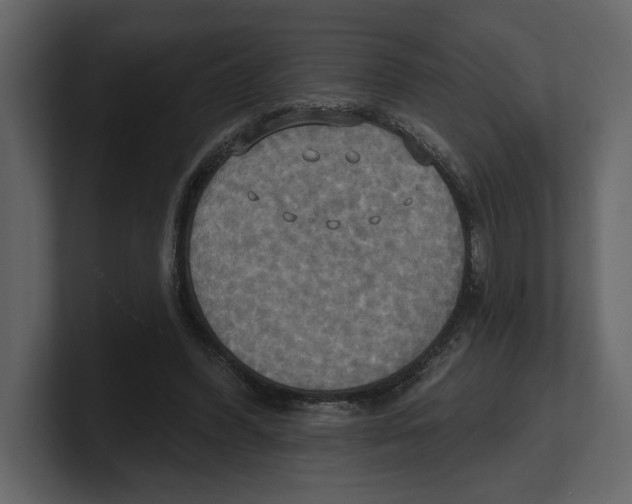 X0000100470396200807111045