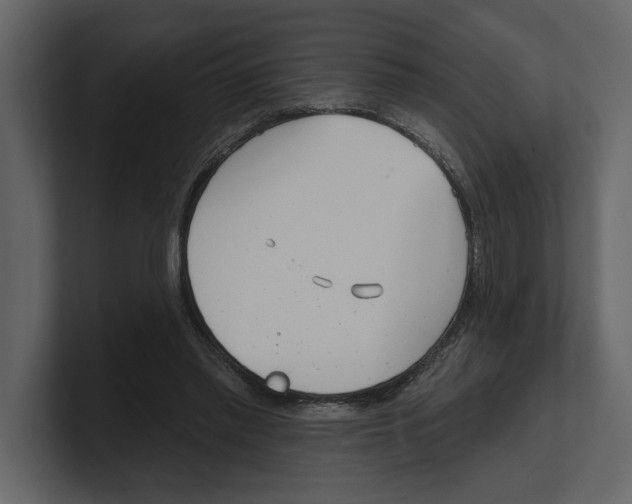 X0000100470397200807111045