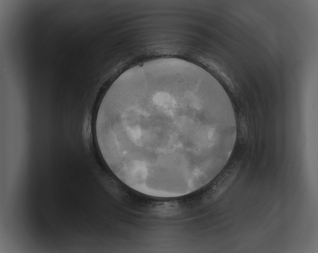 X0000100470398200807111045