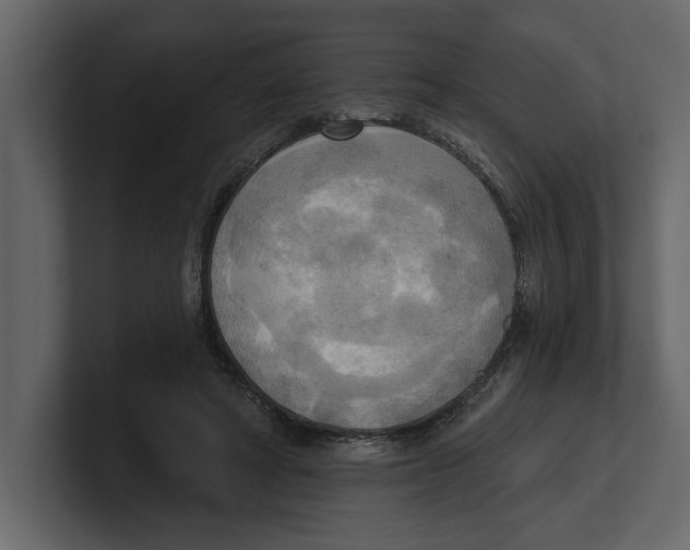 X0000100470402200807111045