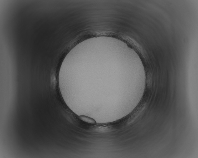 X0000100470405200807111045