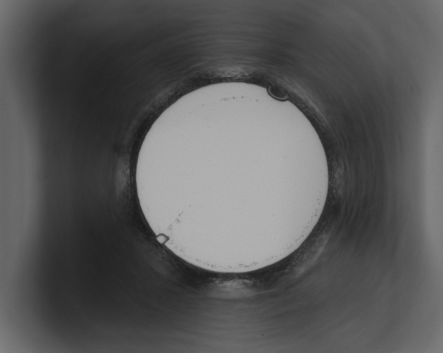 X0000100470407200807111045