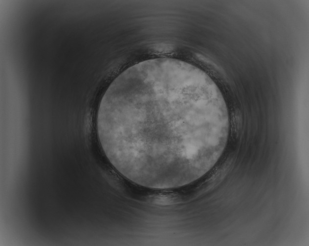 X0000100470412200807111045