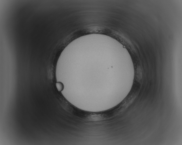 X0000100470413200807111045