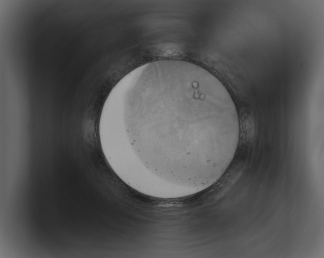 X0000100470415200807111045