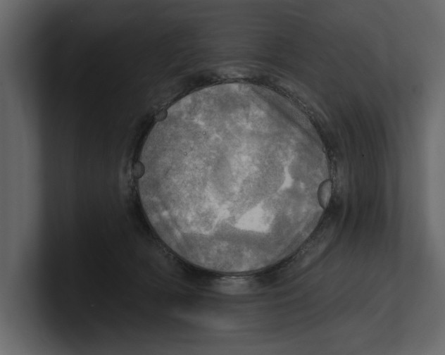 X0000100470418200807111045