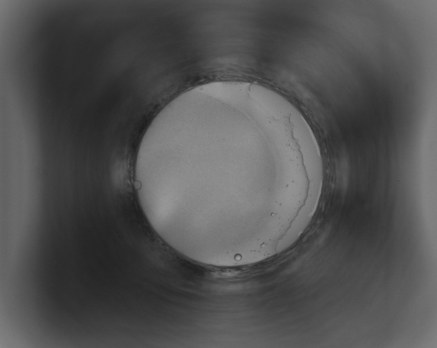 X0000100470419200807111045