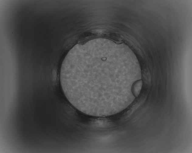 X0000100470420200807111045