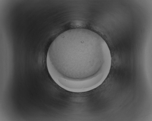 X0000100470423200807111045