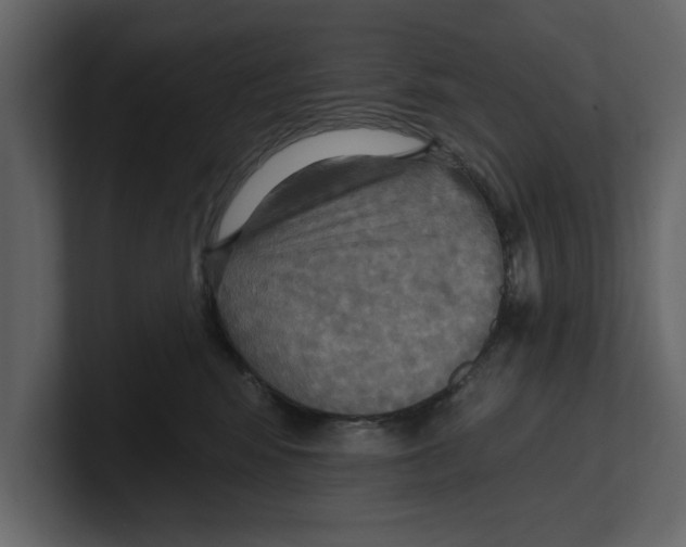 X0000100470424200807111045